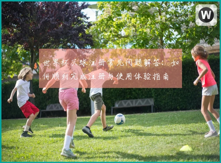 世界杯买球注册常见问题解答:如何顺利完成注册与使用体验指南