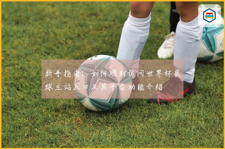 新手指南：如何顺利访问世界杯买球主站入口及其平台功能介绍